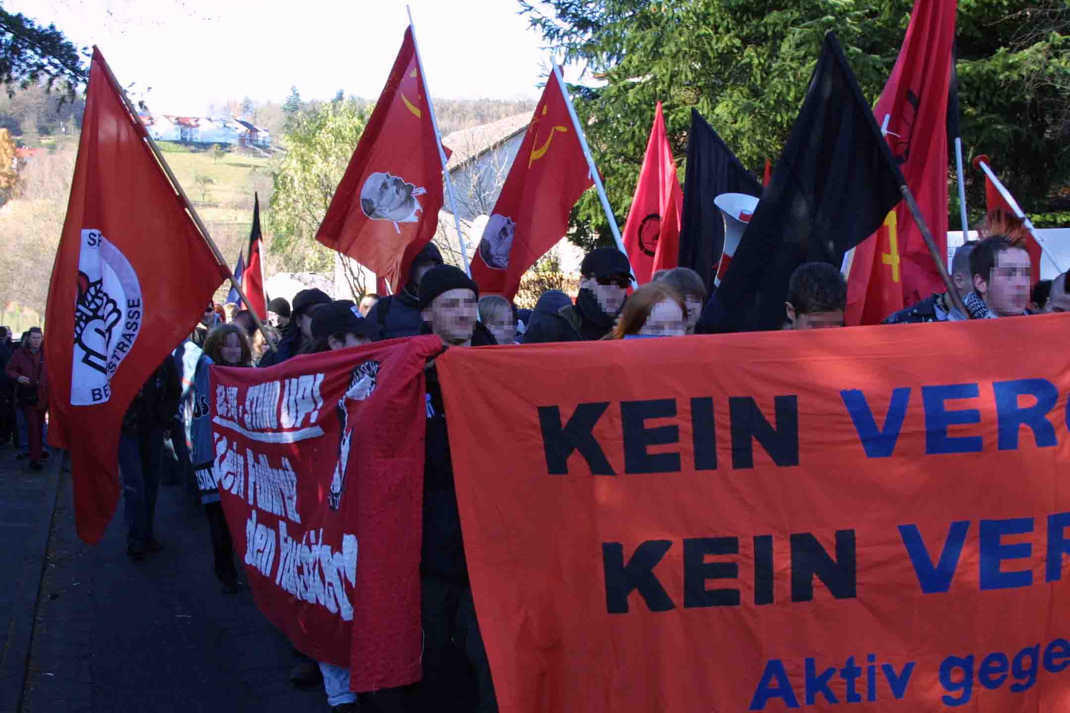 Demonstration in Erbach